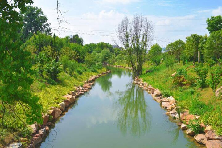 白谷洞村河道治理后水質清澈（余琴 攝）